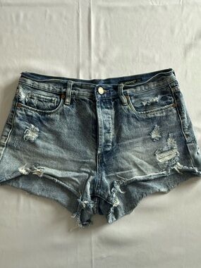 Blank NYC Distressed Light Blue Denim Cutoff Shorts